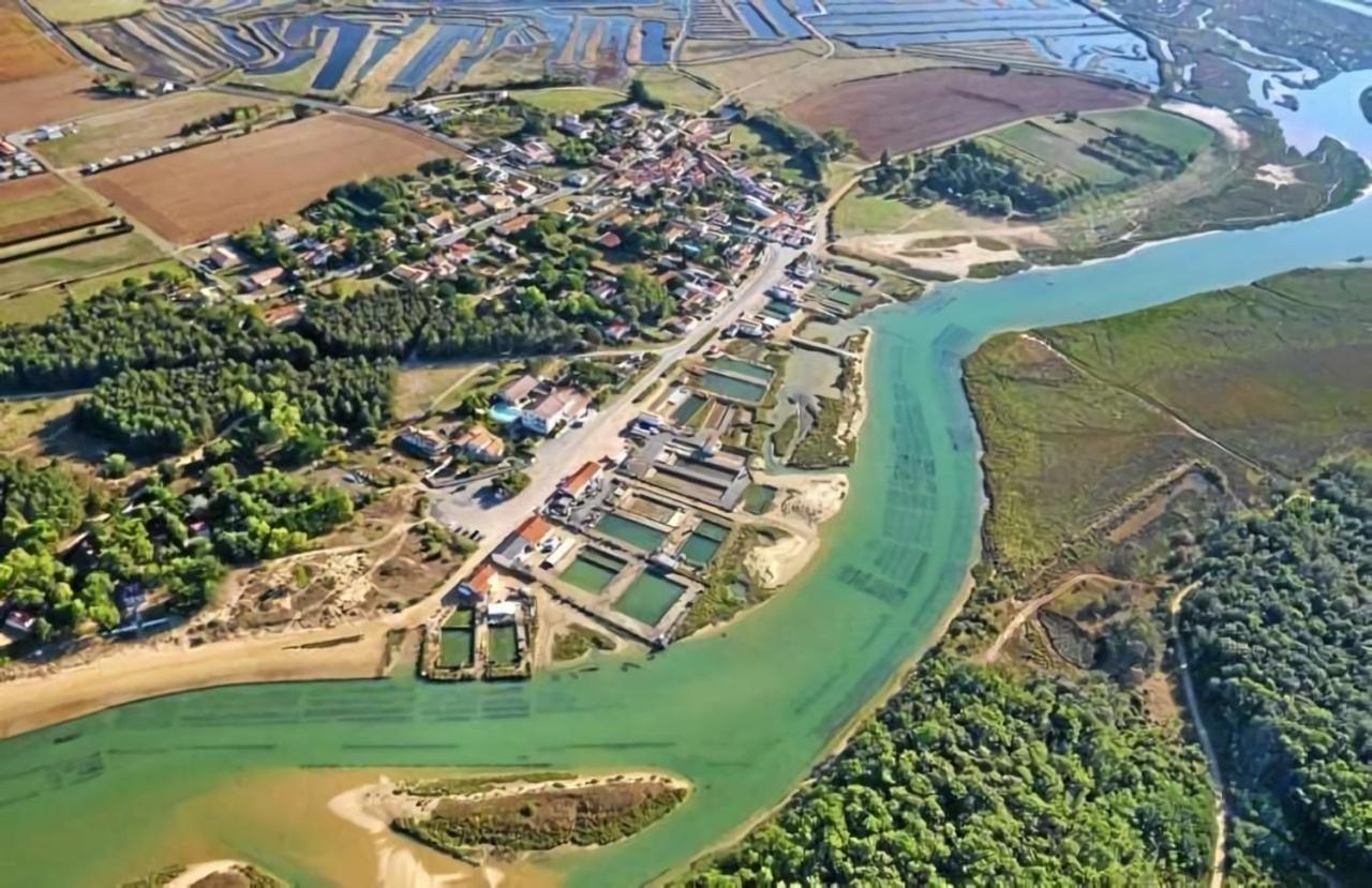 La Maisonnette Du Payre Talmont-Saint-Hilaire Exteriör bild